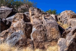 El pinacate: 4-day tour of the craters and Altar desert