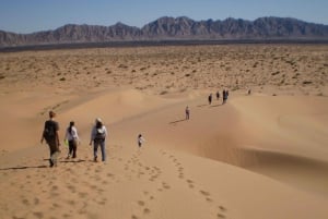 El pinacate: 4-day tour of the craters and Altar desert