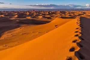 El pinacate: 4-day tour of the craters and Altar desert