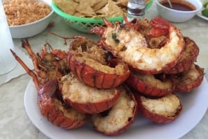 Ensenada: Famoso almuerzo de langosta de Puerto Nuevo