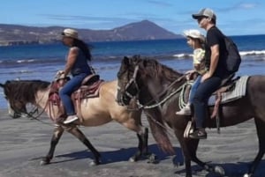 Ensenada: Horseback Riding at Playa Hermosa Beach