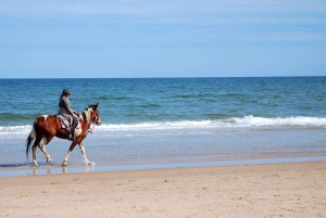 Ensenada: Horseback riding in the beach