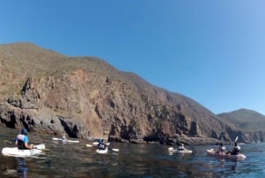 Ensenada: Excursión en kayak con tacos de pescado y servicio de recogida del hotel