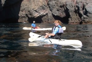 Ensenada: Excursión en kayak con tacos de pescado y servicio de recogida del hotel