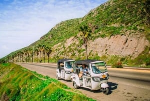 Ensenada: Tour Gourmet Callejero con Tacos y Bebidas