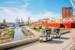 Ensenada: Tour Gourmet Callejero con Tacos y Bebidas