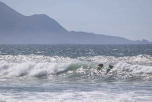 Ensenada: Clases de Surf en Playa Hermosa