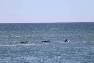 Ensenada: Surf Lessons at Playa Hermosa