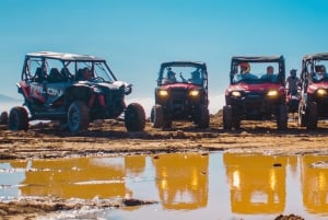 Ensenada: UTV Racing Car Rental for 2 or 4 People