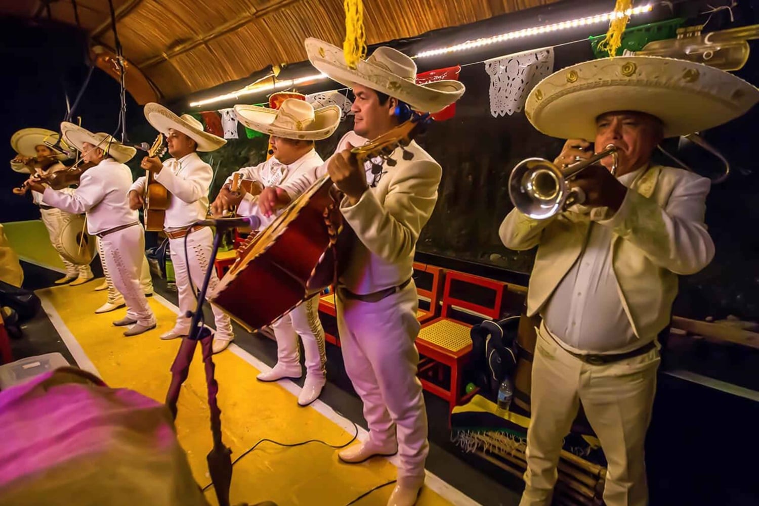 Entrada al Parque nocturno de Xoximilco