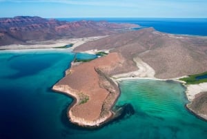 Isla Espíritu Santo: Aventura de snorkel con leones marinos