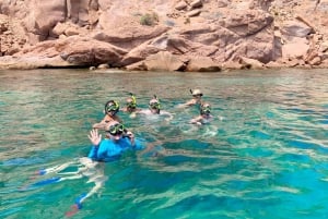 Isla Espíritu Santo: Aventura de snorkel con leones marinos