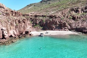 Isla Espíritu Santo: Aventura de snorkel con leones marinos