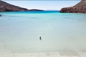 Isla Espíritu Santo: Aventura de snorkel con leones marinos