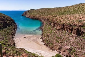 Isla Espíritu Santo: Aventura de snorkel con leones marinos