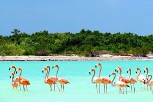 Exclusive Holbox: Yalahau, Punta Mosquito and Isla Pasion