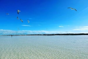 Exclusive Holbox: Yalahau, Punta Mosquito and Isla Pasion