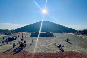 Exclusive private tour of the pyramids with a European guide in Mexico City