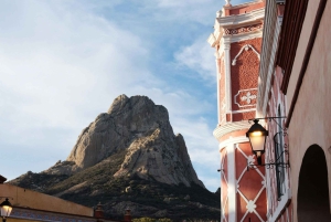 Exclusive tour to Peña de Bernal and Freixenet vineyards from CDMX