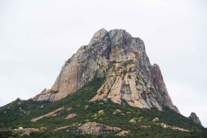 Exclusive tour to Peña de Bernal and Freixenet vineyards from CDMX