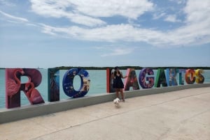 Excursión a Ría Lagartos, Coloradas y Playa Cancúnito