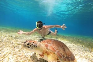 Excursion FRANCOPHONE inoubliable Cozumel El Cielo et tortue