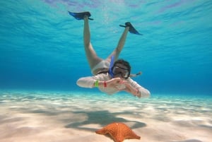 Excursión FRANCOPHONE inoubliable Cozumel El Cielo et tortue