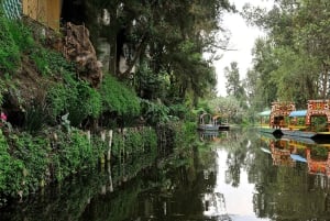 CDMX: Coyoacán, UNAM, Xochimilco, and optional Frida Kahlo Museum