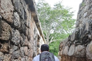 Explore, Climb, and Refresh in a Sacred Cenote