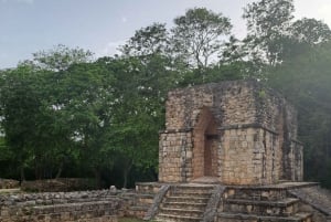 Explore, Climb, and Refresh in a Sacred Cenote