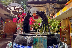 Explora Teotihuacán, Guadalupe, Xochimilco, Coyoacán y más en 2 días.