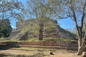 Uxmal: Tour to Uxmal and cenotes with local (from Mérida)