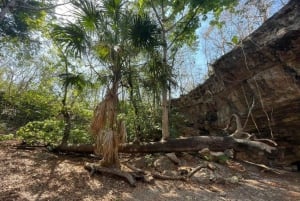 Tour guiado por Uxmal y los increíbles cenotes con comida desde Mérida