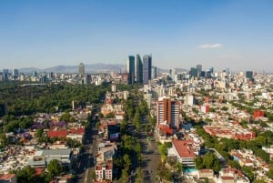 Tour a pie en familia por Ciudad de México: Historia y Cultura