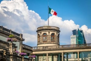 Ciudad de México: Fast Track Castillo de Chapultepec NHM Tour privado