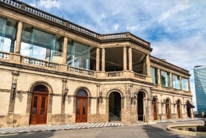 Ciudad de México: Fast Track Castillo de Chapultepec NHM Tour privado