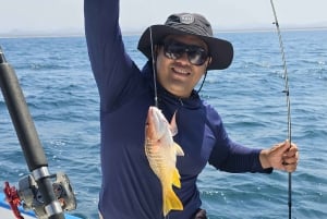 Pescando un marlin en mazatlan