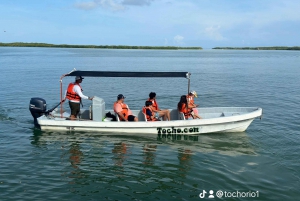 flamingo tour in Rio Lagartos, Yucatan 3 hours