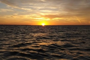 Excursión con flamencos Río Lagartos, Yucatán 2 horas