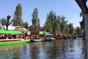 'Floating Party in Xochimilco: Canals, Tequila, and Tradition'