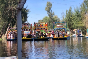 'Floating Party in Xochimilco: Canals, Tequila, and Tradition'