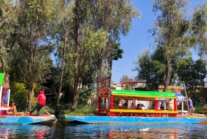 'Floating Party in Xochimilco: Canals, Tequila, and Tradition'