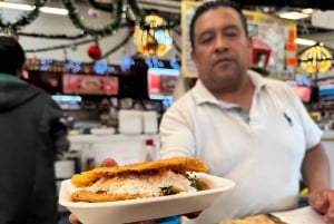 Anthropology Museum, tacos and mezcal tour in Polanco