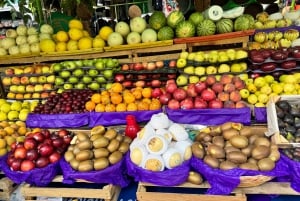 Anthropology Museum, tacos and mezcal tour in Polanco