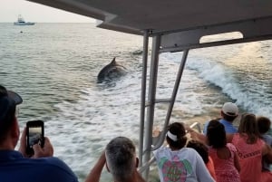 Fort Walton: Dolphin Discovery and Snorkeling Cruise