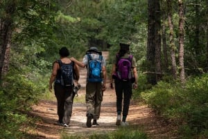 Excursión de aventura al Cañón del Zorro: tour de día completo en Los Cabos