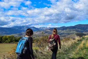 Excursión de aventura al Cañón del Zorro: tour de día completo en Los Cabos