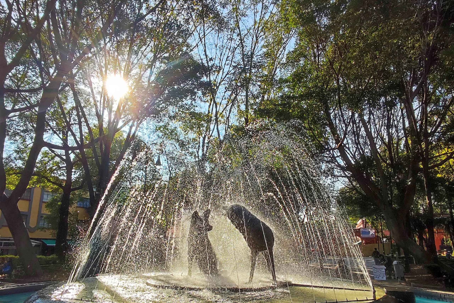 Frida Kahlo Museum Entry Ticket (except Casa Kahlo option)