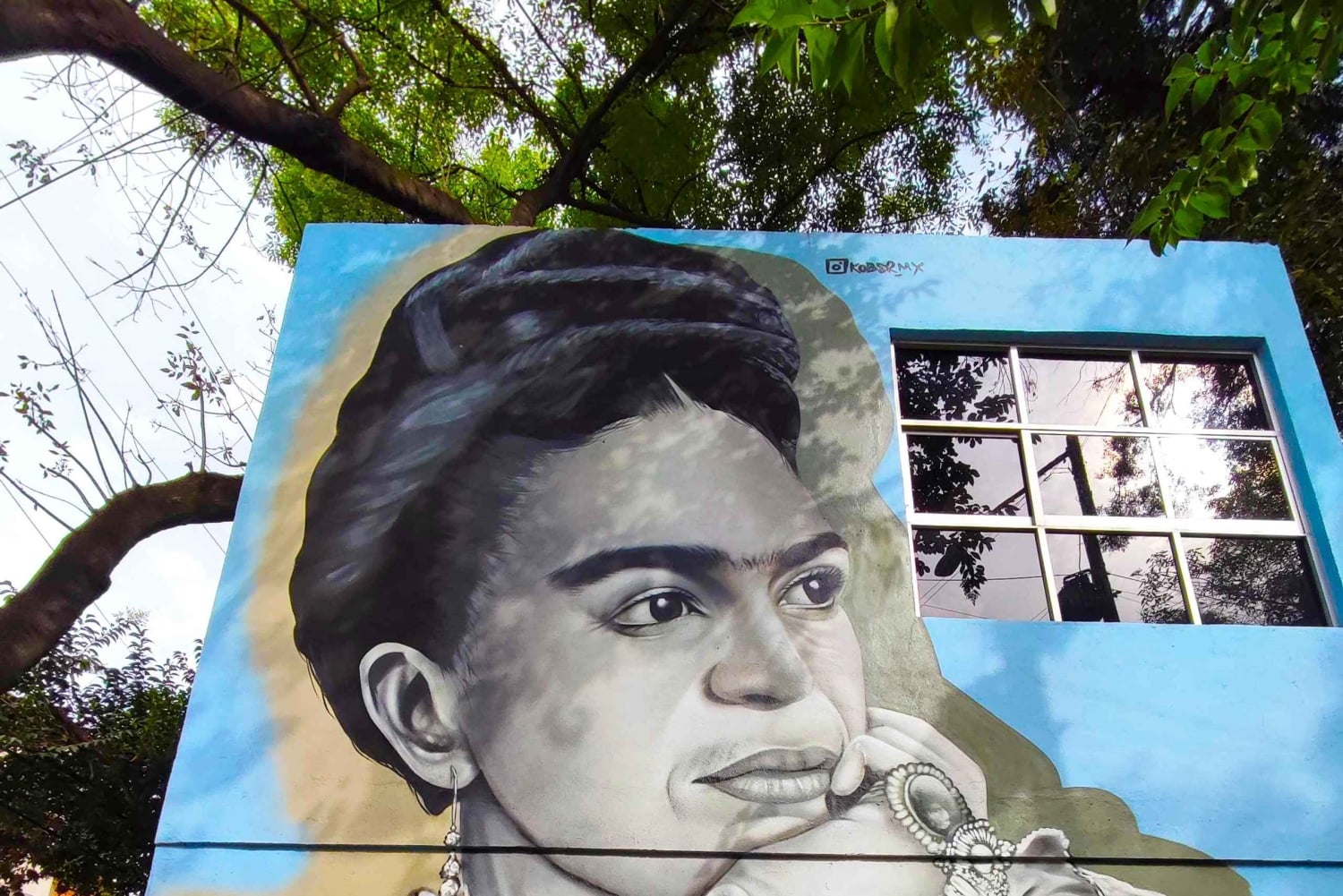 Frida Kahlo Museum Entry Ticket (except Casa Kahlo option)