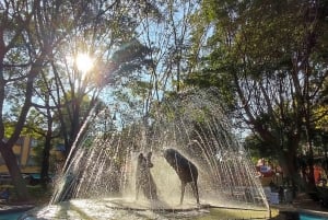 Frida Kahlo Museum Entry Ticket (except Casa Kahlo option)